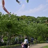 行楽日和