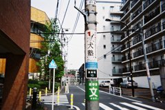 犬塾