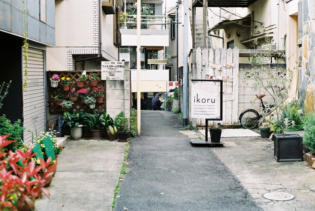 路地