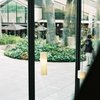 お店の中から