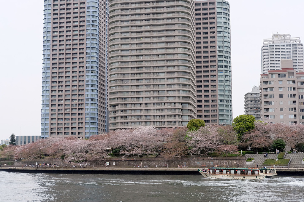 隅田川散歩