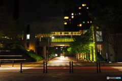 夜の大崎