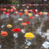水上の花道