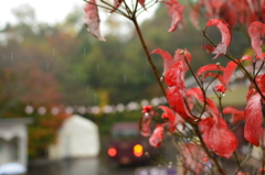 雨の明治村(秋)