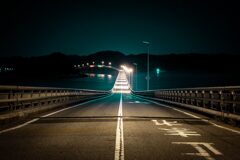 夜お散歩