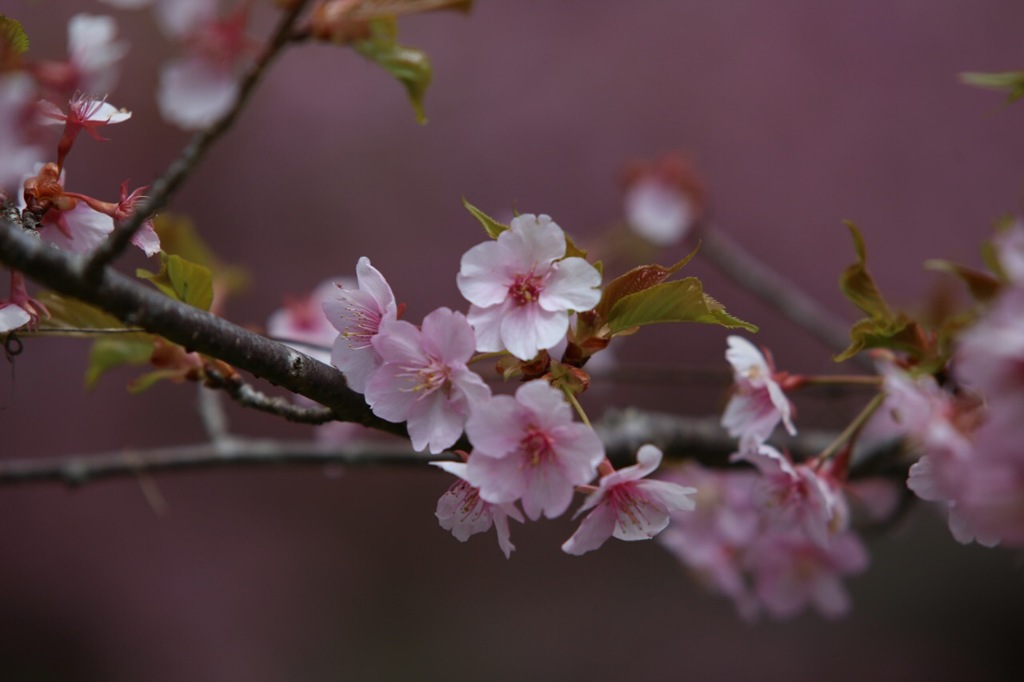 H28.04.14 初投稿！