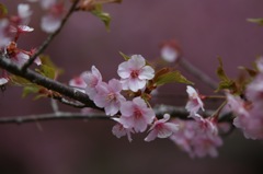 H28.04.14 初投稿！