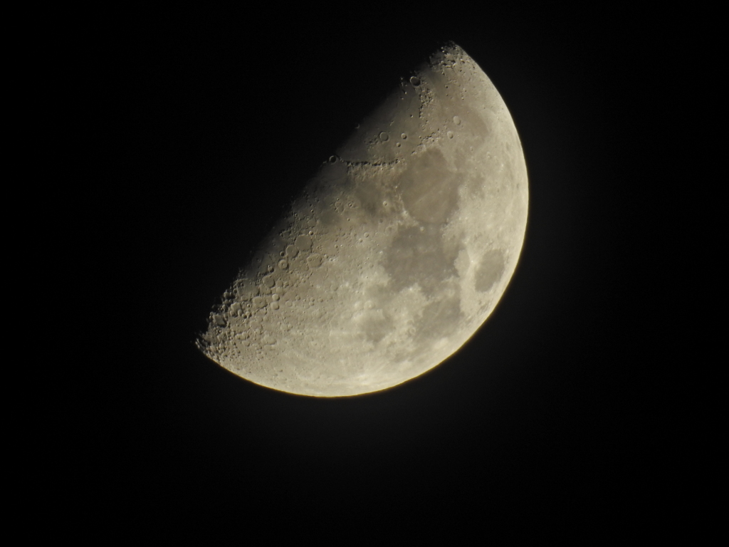 昨日の月