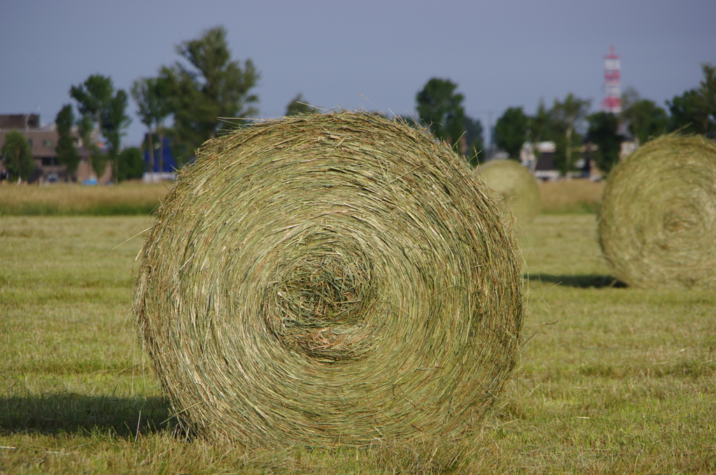 新型ミステリーサー...ごめんなさい(*TT