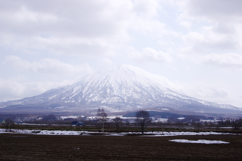 通りがかりの羊蹄山