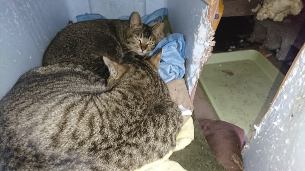 状況写真