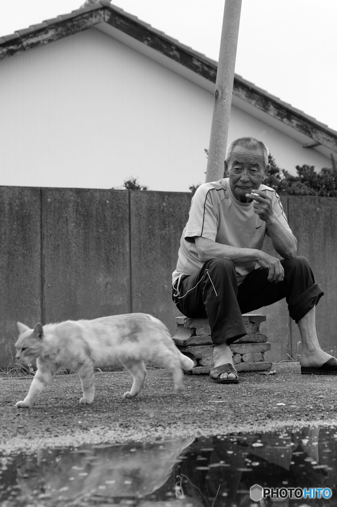 The old man and the old cat