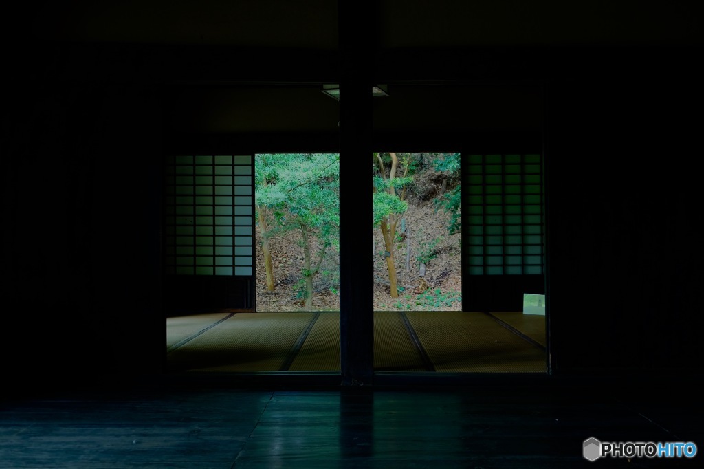 Fresh green door
