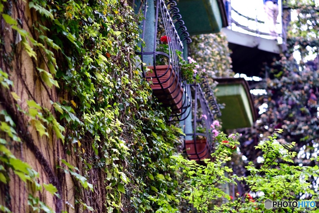 terrace