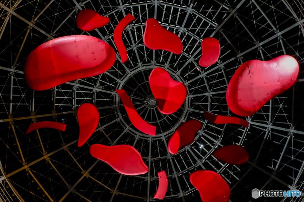 Drenched red blood cells