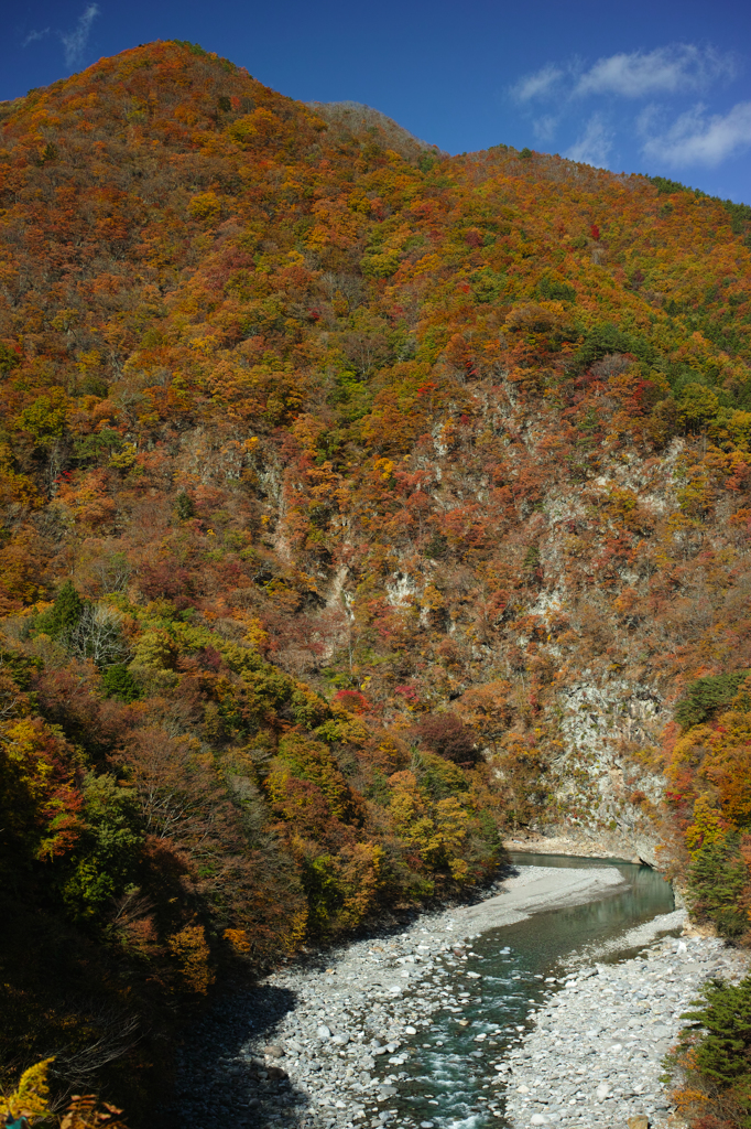 紅葉 in 栃木