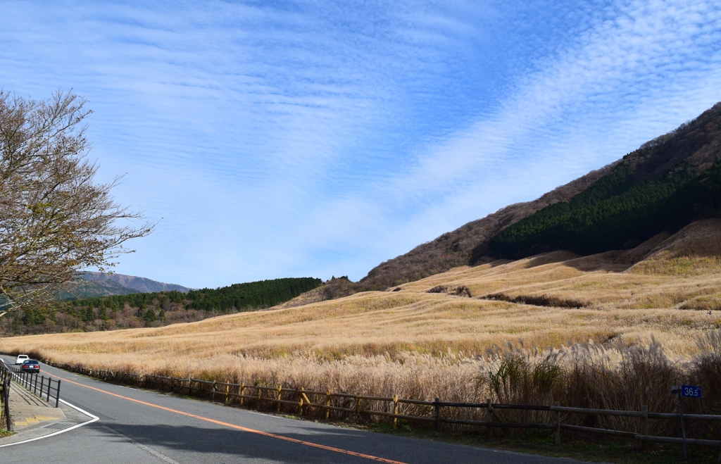 青空