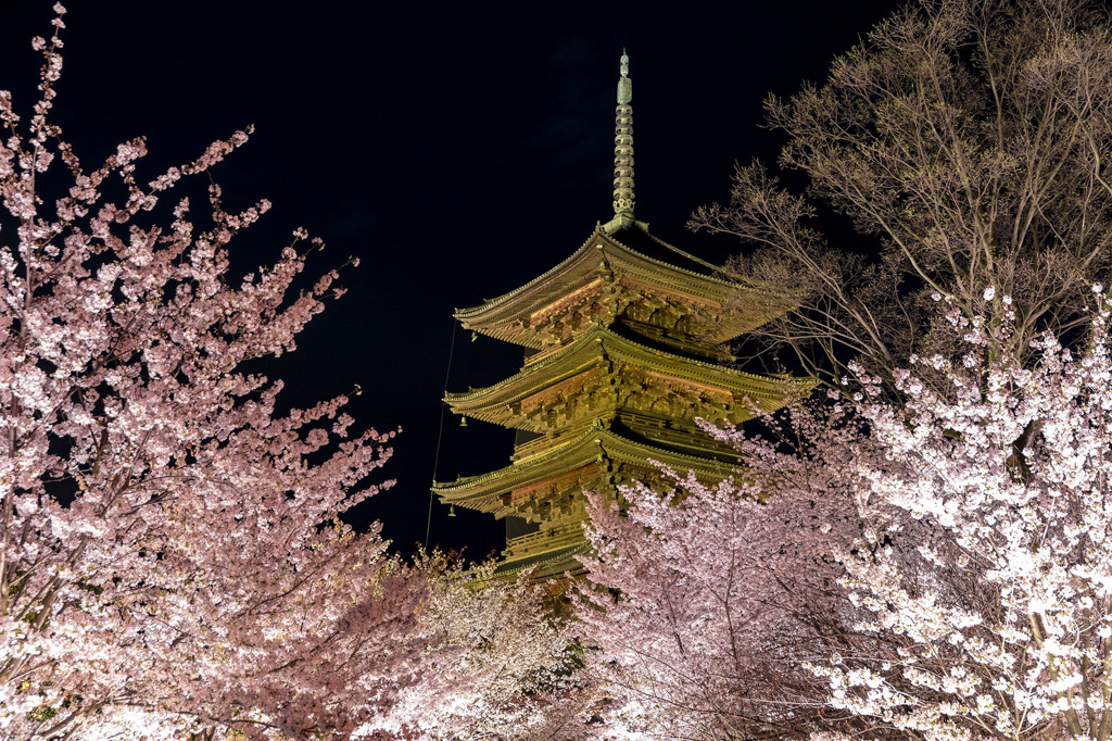 東寺3