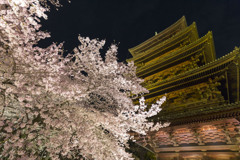 東寺4