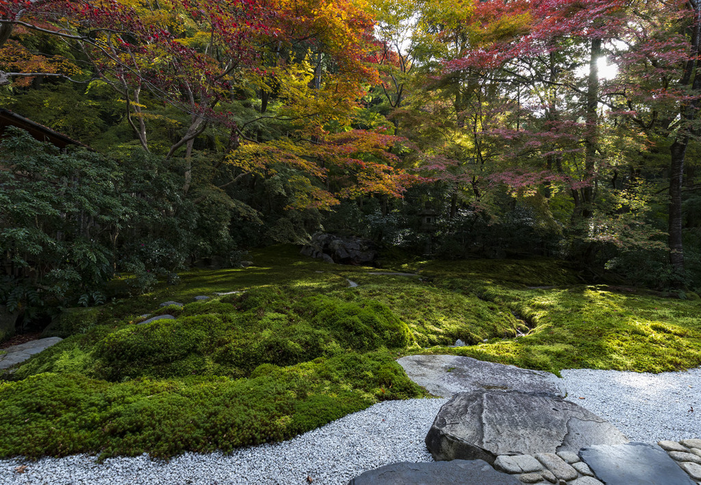 瑠璃光院④