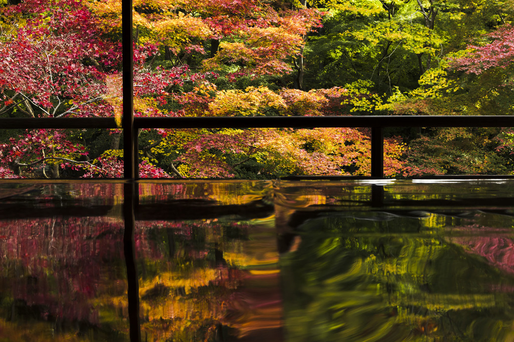 瑠璃光院①