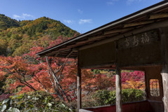 白龍園⑥