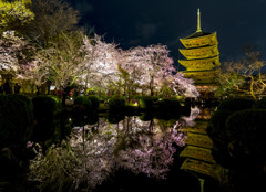 東寺2