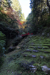白龍園③