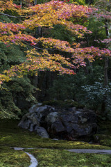 瑠璃光院③