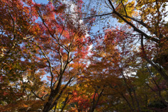 圓光寺⑦