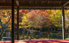 圓光寺②
