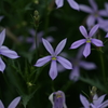 DSC08428