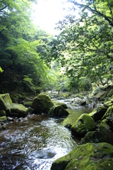 赤目四十八滝
