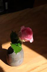 わたしにとって、他の人に花を贈るという行為は小恥ずかしい。しかし、彼にはできる。
