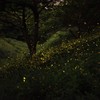 光の行進