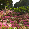 花壁