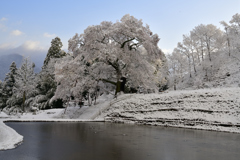 雪化粧