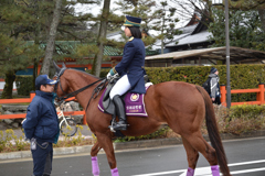 京都府警　騎馬隊