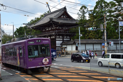 NAO_5548