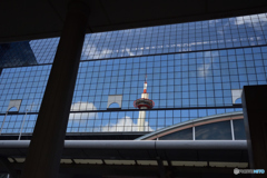 NAO_5531