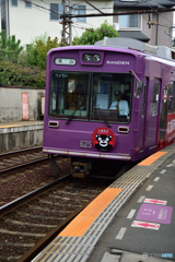 NAO_5559