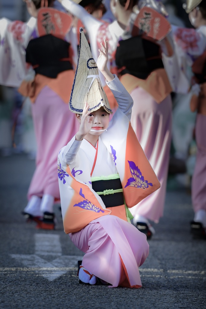 徳島.阿波おどり