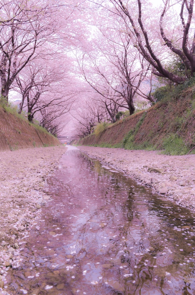春の小川