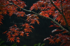 東福寺