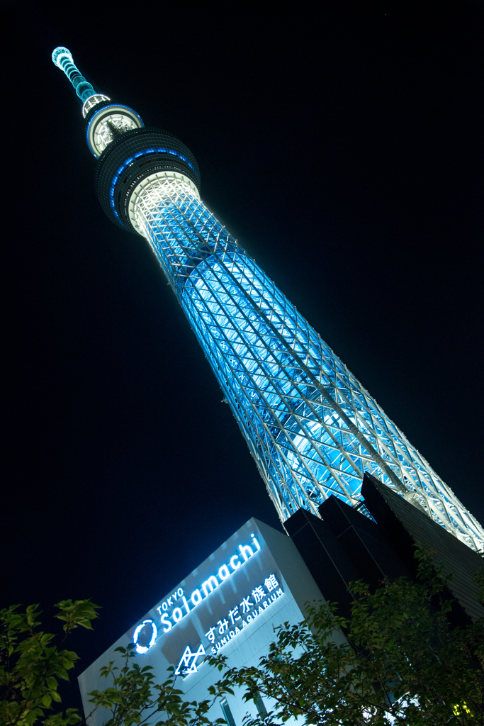 Skytree
