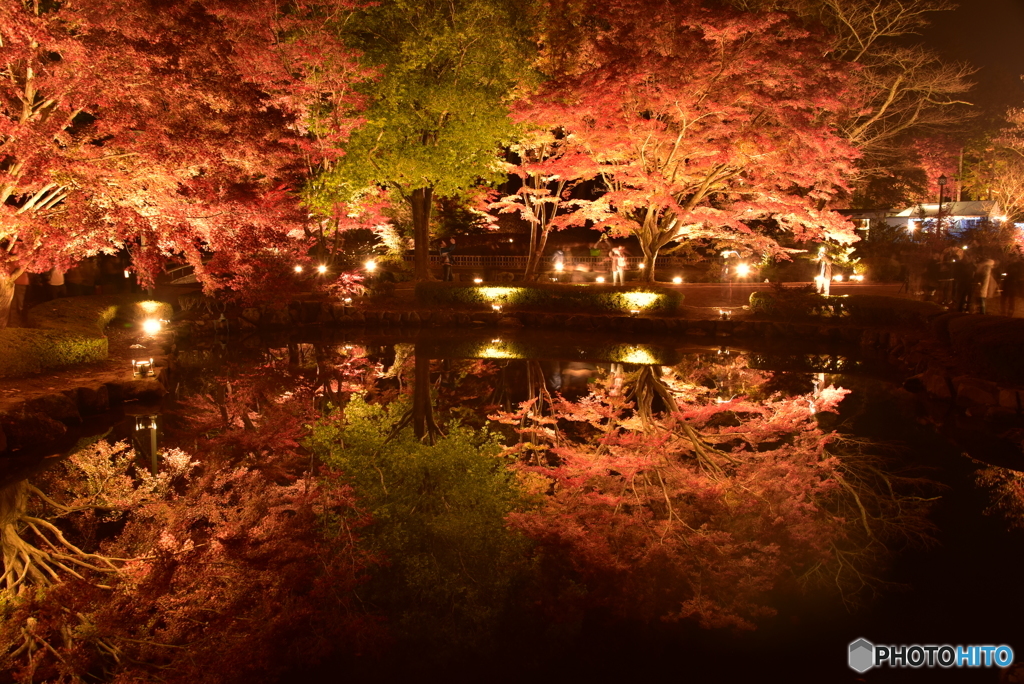 紅葉