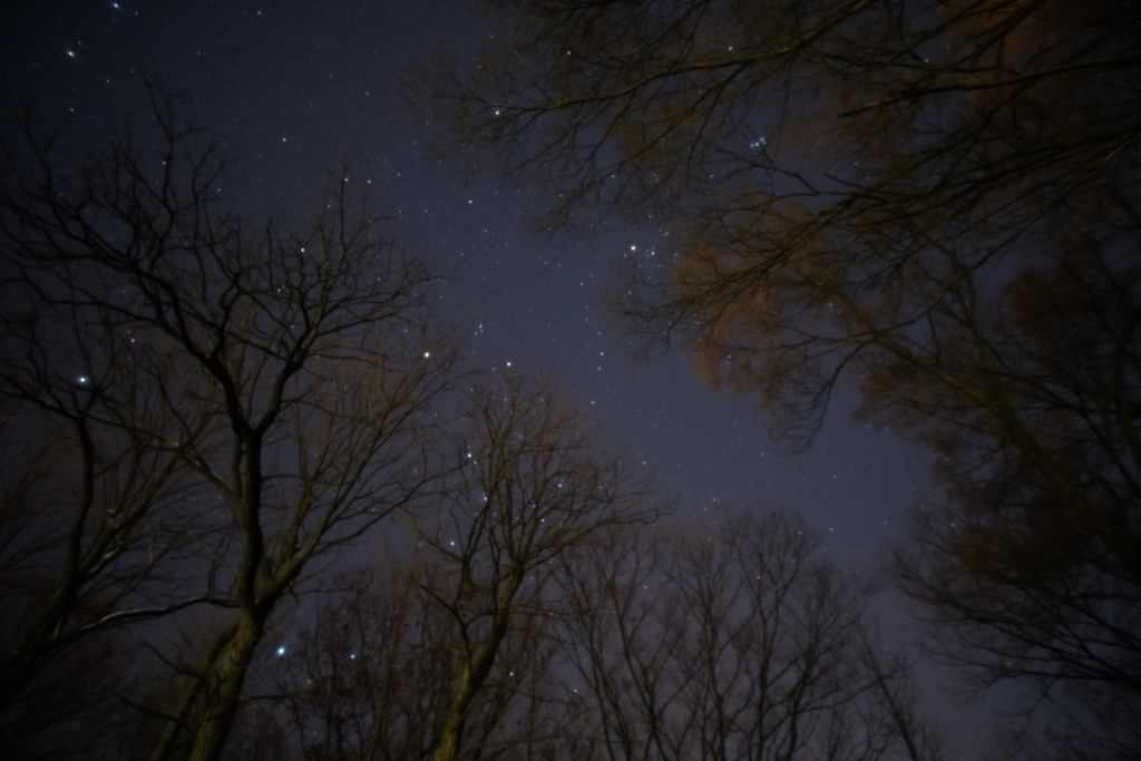 クリスマスの夜空