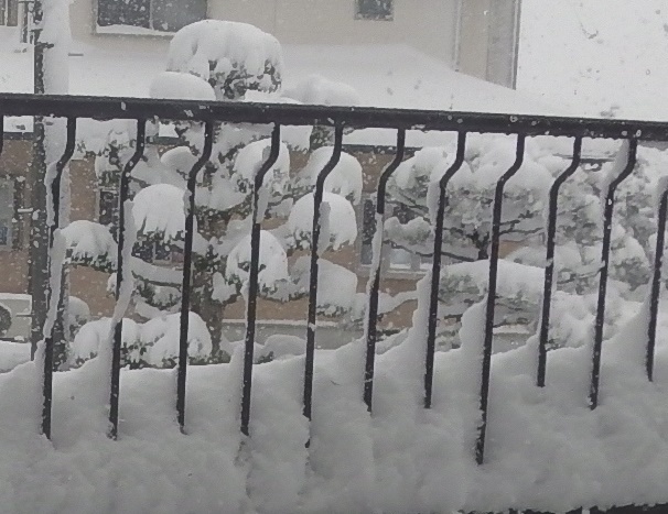 積雪に見舞われた３日間