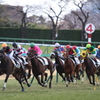 中山競馬