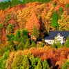 山の上の紅葉